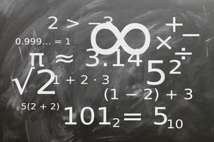 Jiu You-中小学体育教师教学技能提升研究，中小学体育教学的基本技能