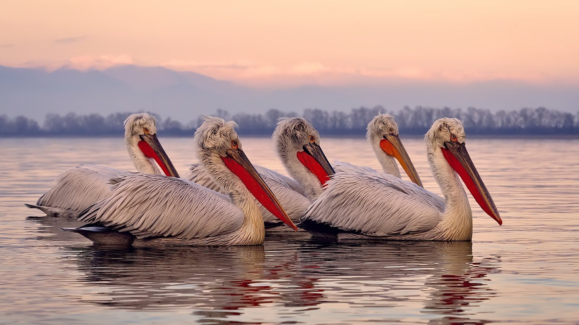 国际体联代表团考察中国体操训练基地,国际体操联合会有中国人吗