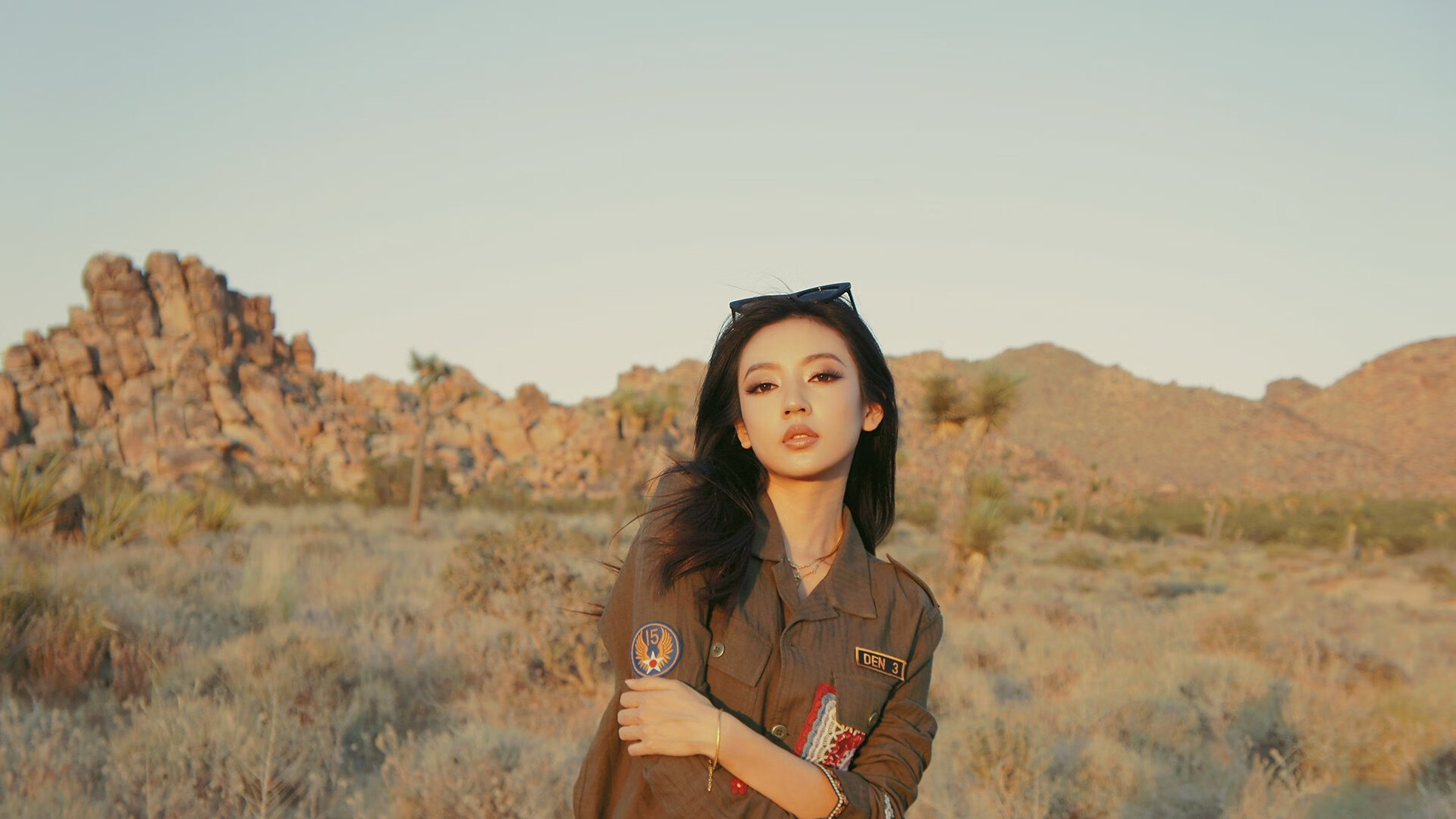 外援政策调整是否利好本土球员,外援项目