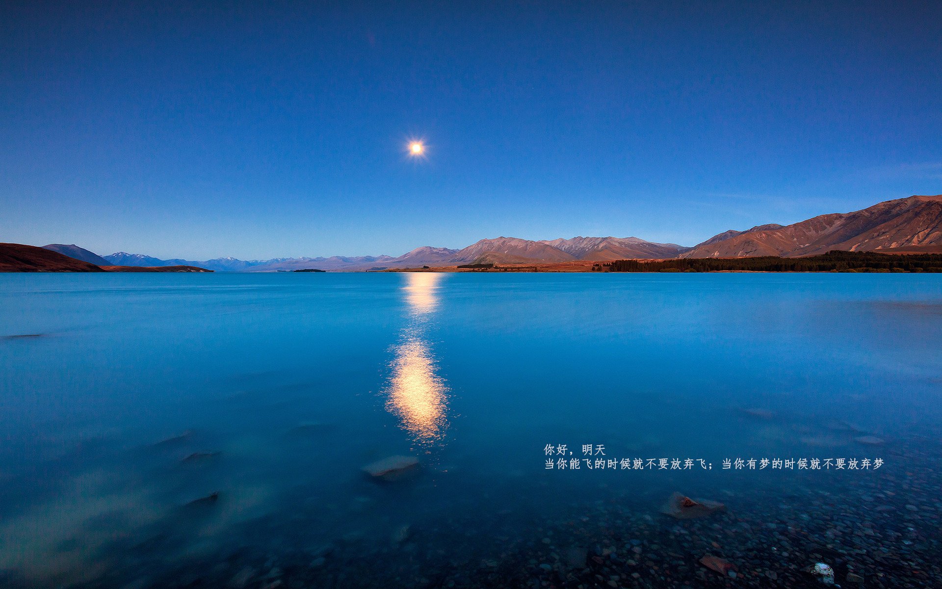 山西龙狮侧翼球员全面开花拉开比分差距,龙狮cba