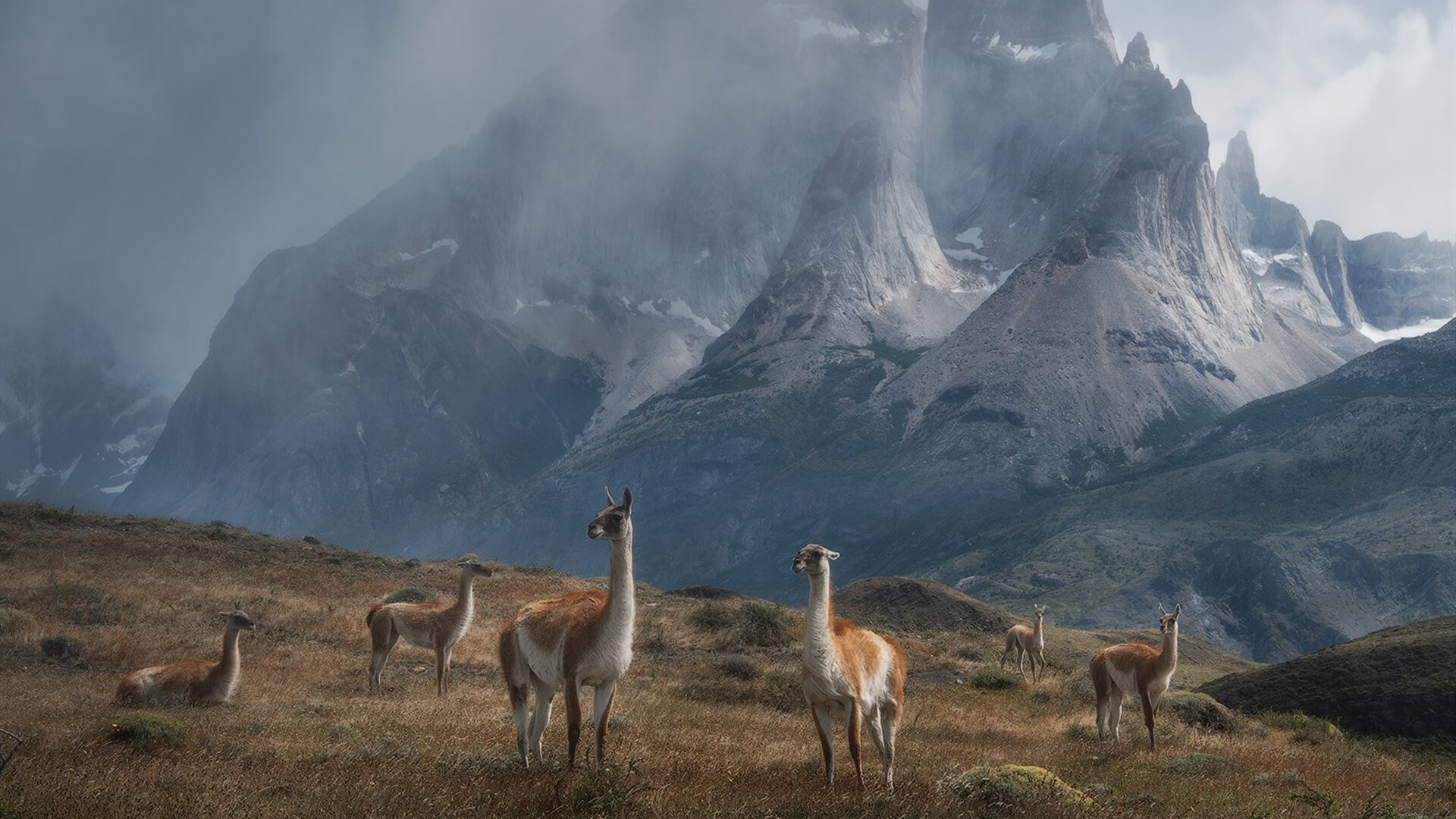 九游网页版官网-足球青训商业模式依赖外部输血，足球青训怎么运营