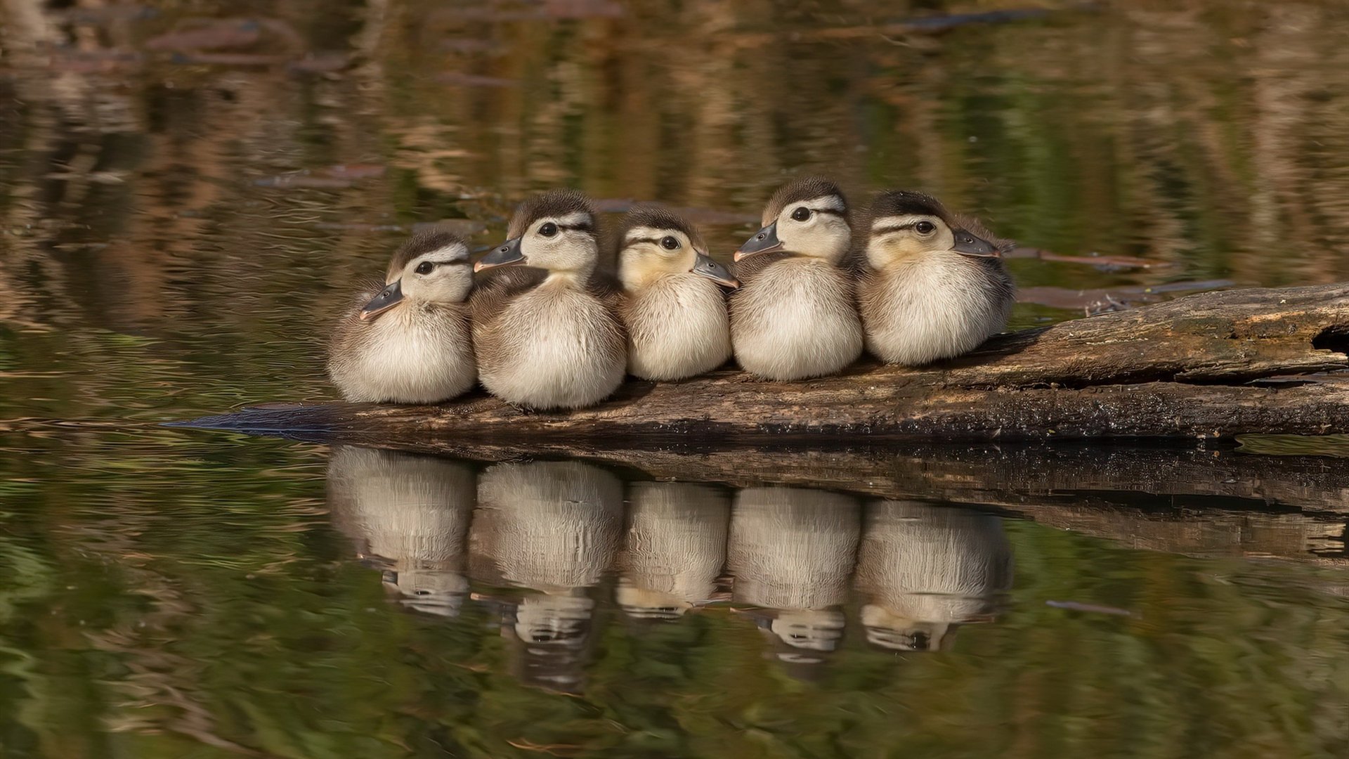体育新闻中心赛事市场观察,体育赛事新闻标题