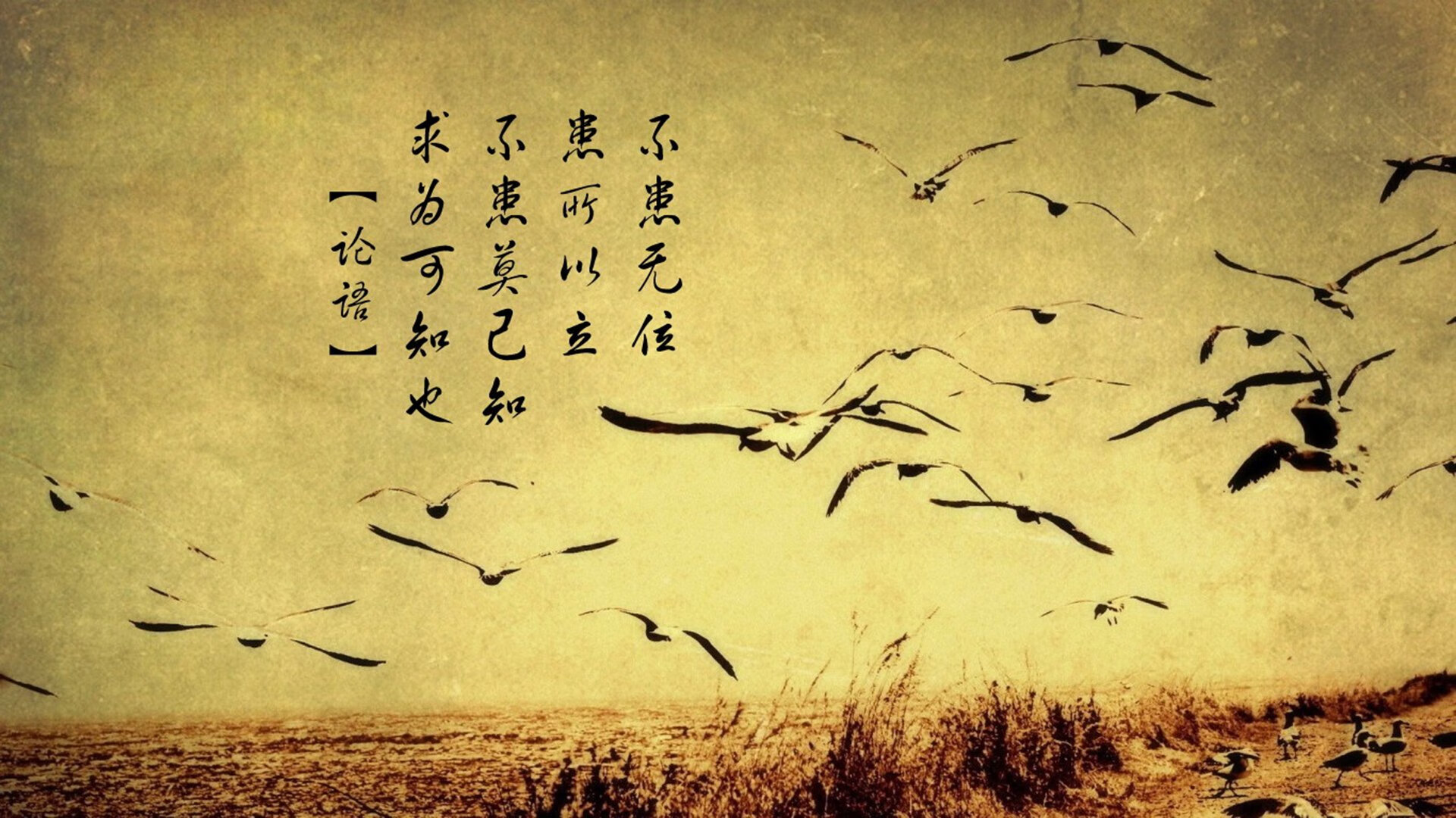 JIUYOU.COM-保利娜·普费夫跳台赛场突破自我，保加利亚普罗夫迪夫音乐舞蹈美术学院