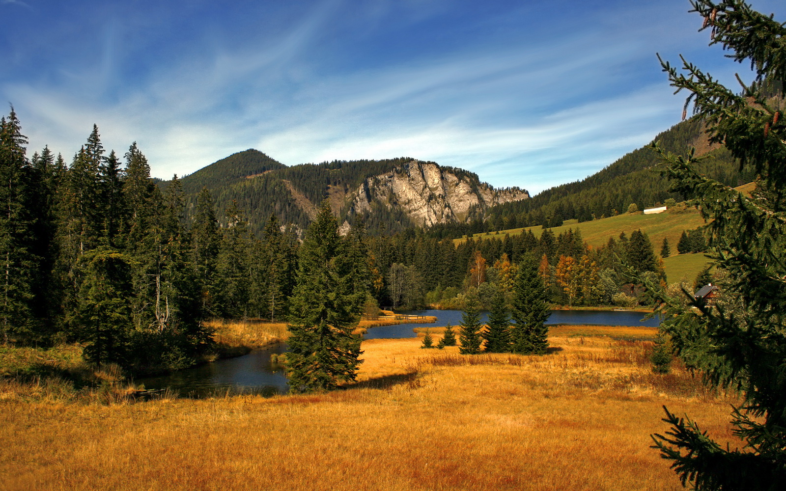 新一代澳大利亚女子橄榄球队引发热烈讨论，澳大利亚橄榄球运动员