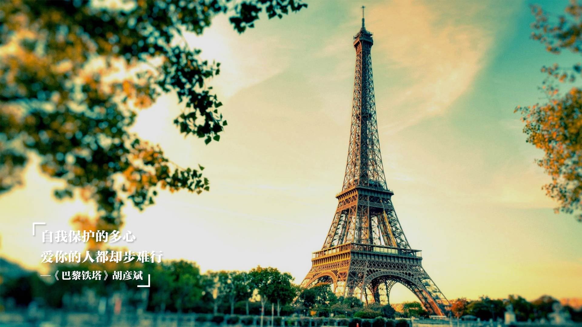 欧洲杯变阵奇迹:出奇制胜赢得高峰!,欧洲杯阵出炉