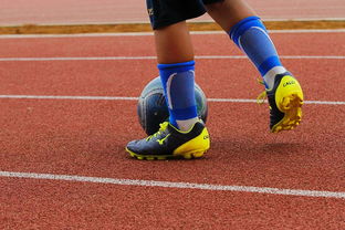 -蛙泳对决奥地利游出新速度，奥运会蛙游泳决赛视频